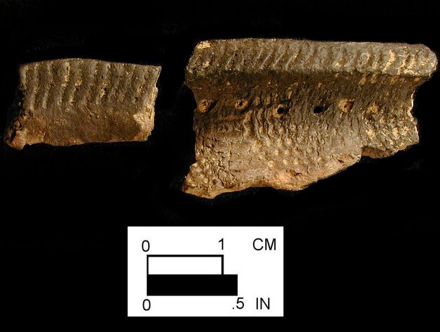 Clemson Island rim sherds with punctates and cord-impressed decoration from Herman Barton Village, site 18AG3/193. 